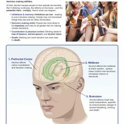 Sportime Impaired Driving Bulletin Board Charts, Set Of 8, Grades 5 To 12 11 Sportime Impaired Driving Bulletin Board Charts, Set Of 8, Grades 5 To 12 -Physical Education Resources shop 2041479 D ecommfullsize